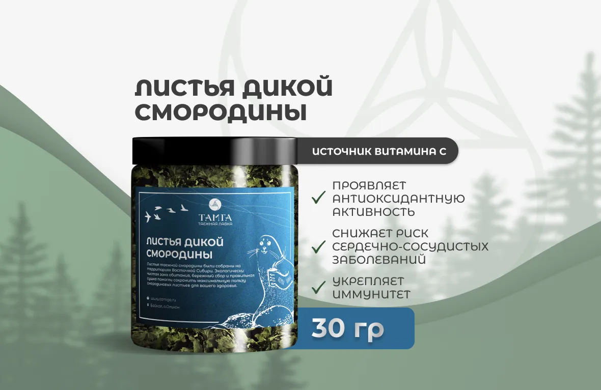 Листья дикой смородины —  травяной сбор