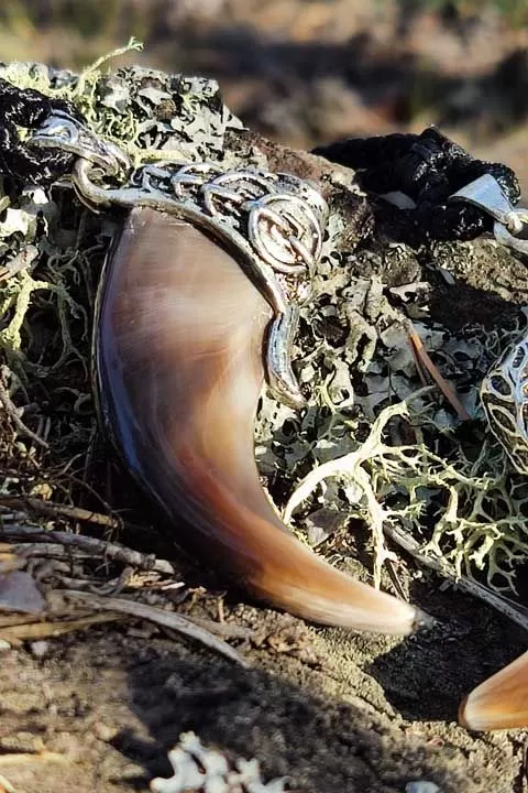 Коготь медведя «Римский» - подвеска в навершии из металла - Подвески