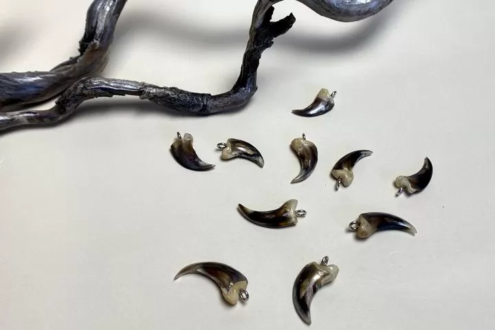 Коготь волка — сырье - Сырье и заготовки