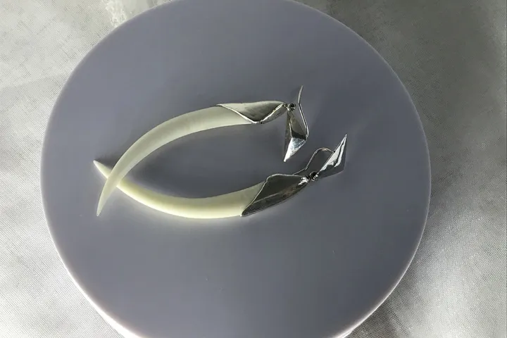 Серьги «Ледник» из клыка кабарги и серебра