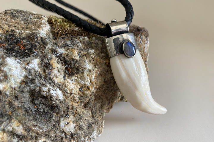 Клык медведя «Мастер» с гранатом - подвеска - Подвески