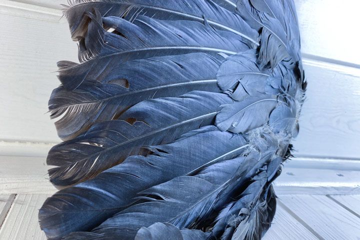 Крылья ворона - corvus alis - крыло ворона - Прочее