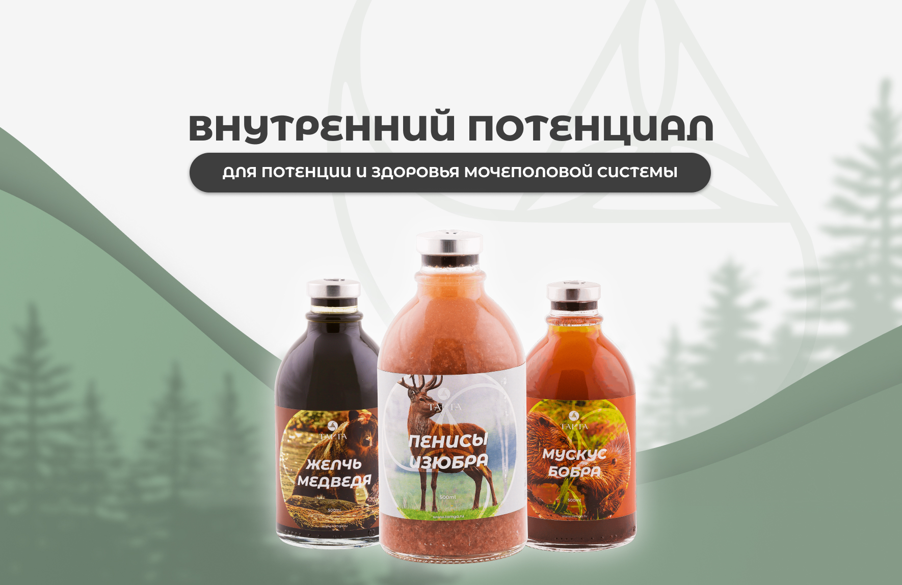Набор таёжных настоек "Внутренний потенциал"